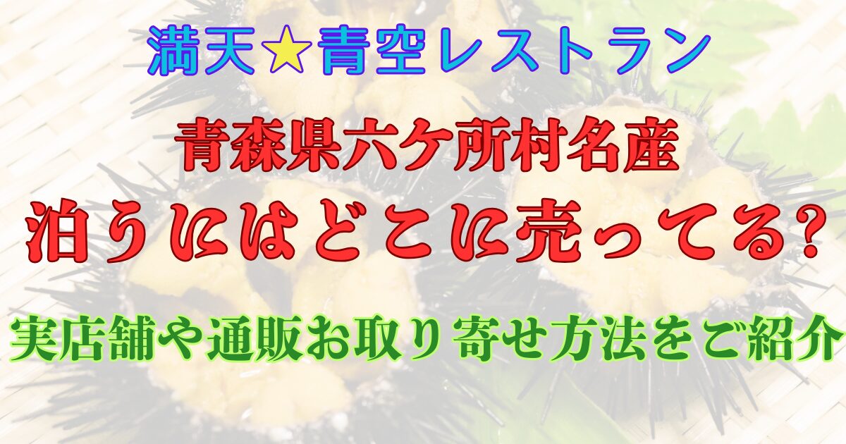 泊うに　お取り寄せ