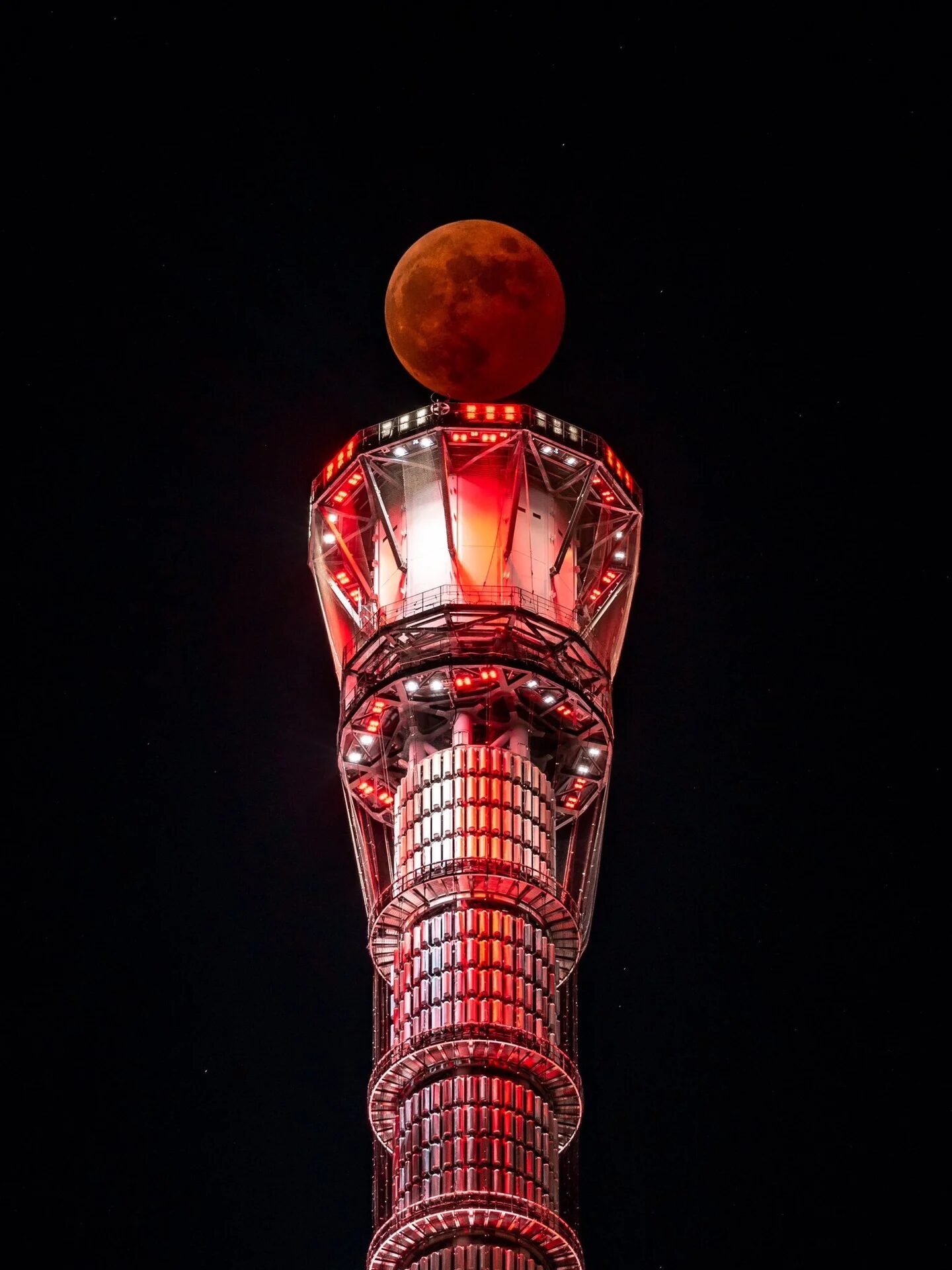 2022年皆既月食　引用