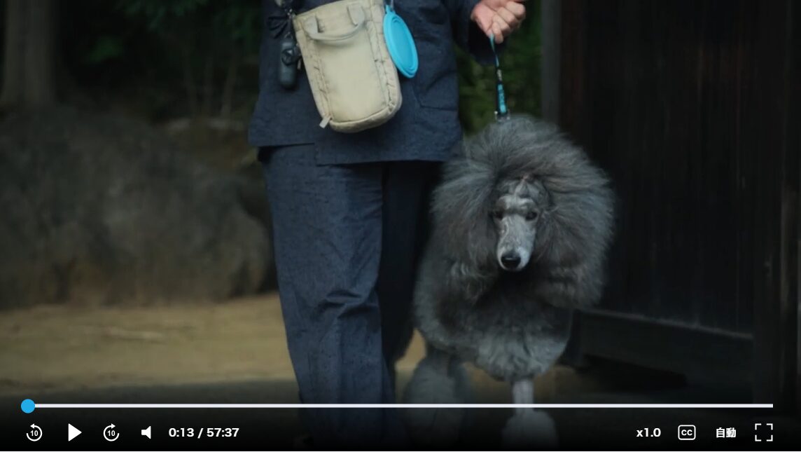 杉下右京 作務衣 ブランド