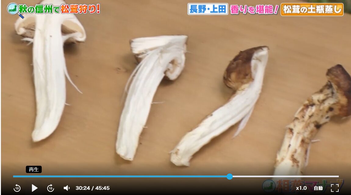 相葉マナブ 松茸の土瓶蒸し