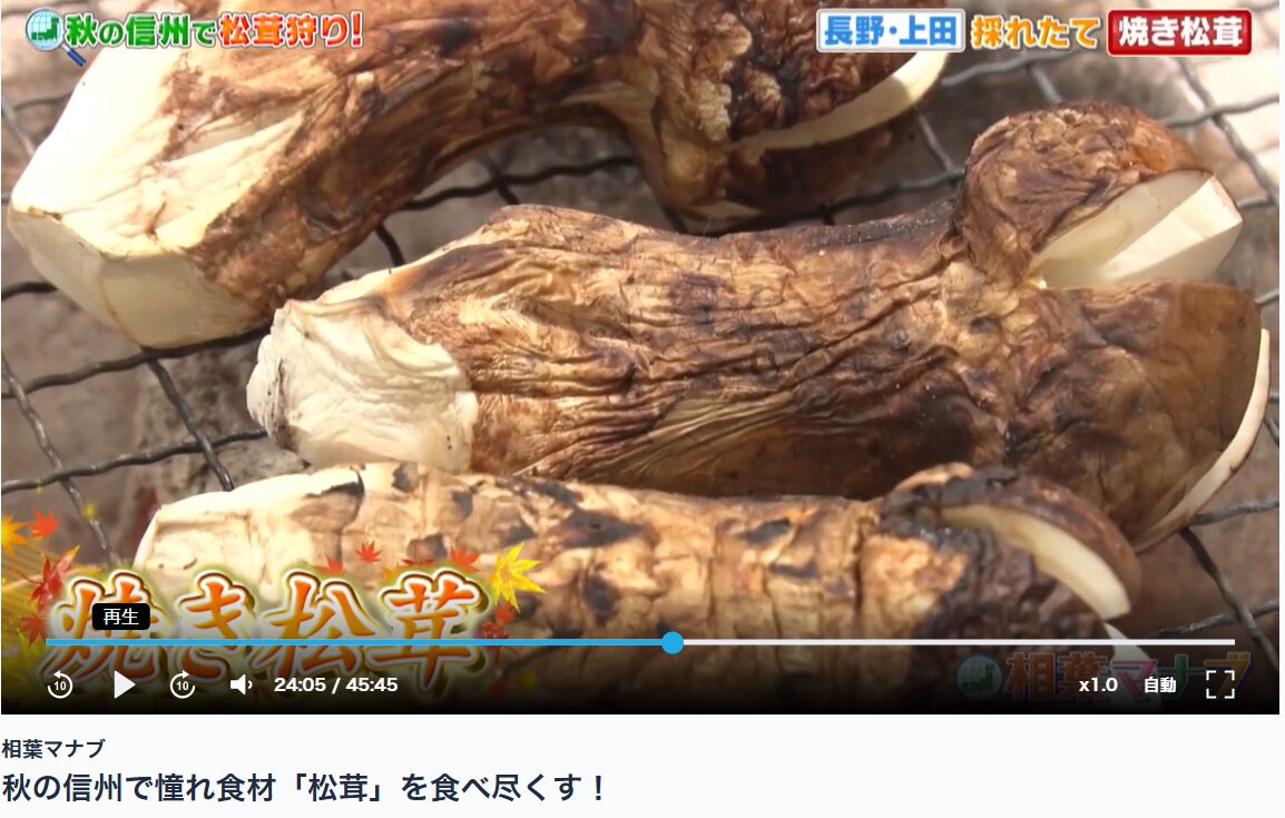 相葉マナブ 焼きマツタケ