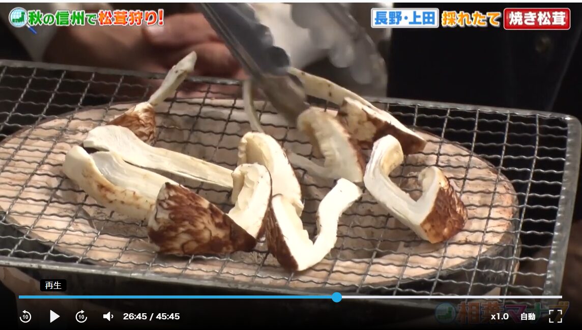相葉マナブ 焼きマツタケ
