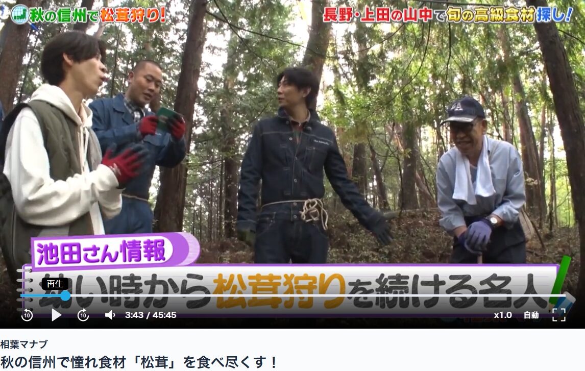 相葉マナブ 焼きマツタケ