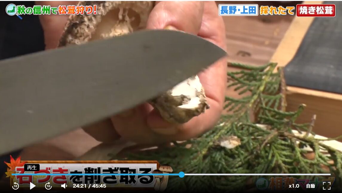 相葉マナブ 焼きマツタケ