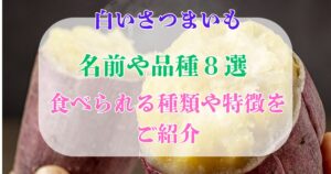 白いさつまいも 名前 品種
