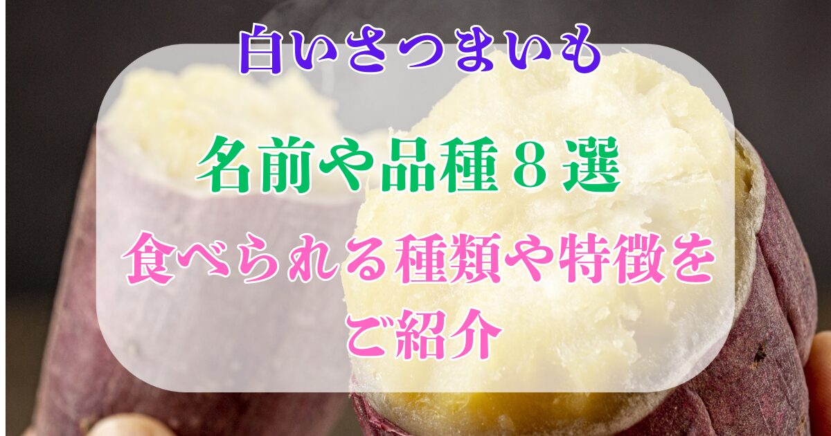 白いさつまいも 名前 品種