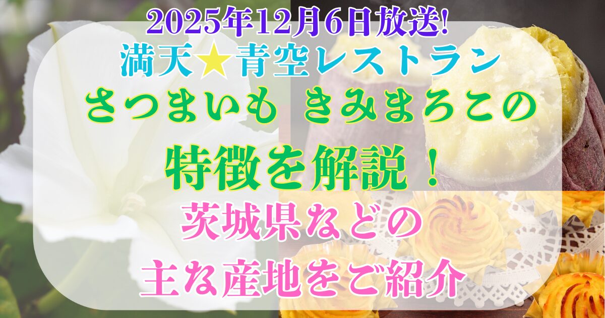 さつまいも　きみまろこ　特徴