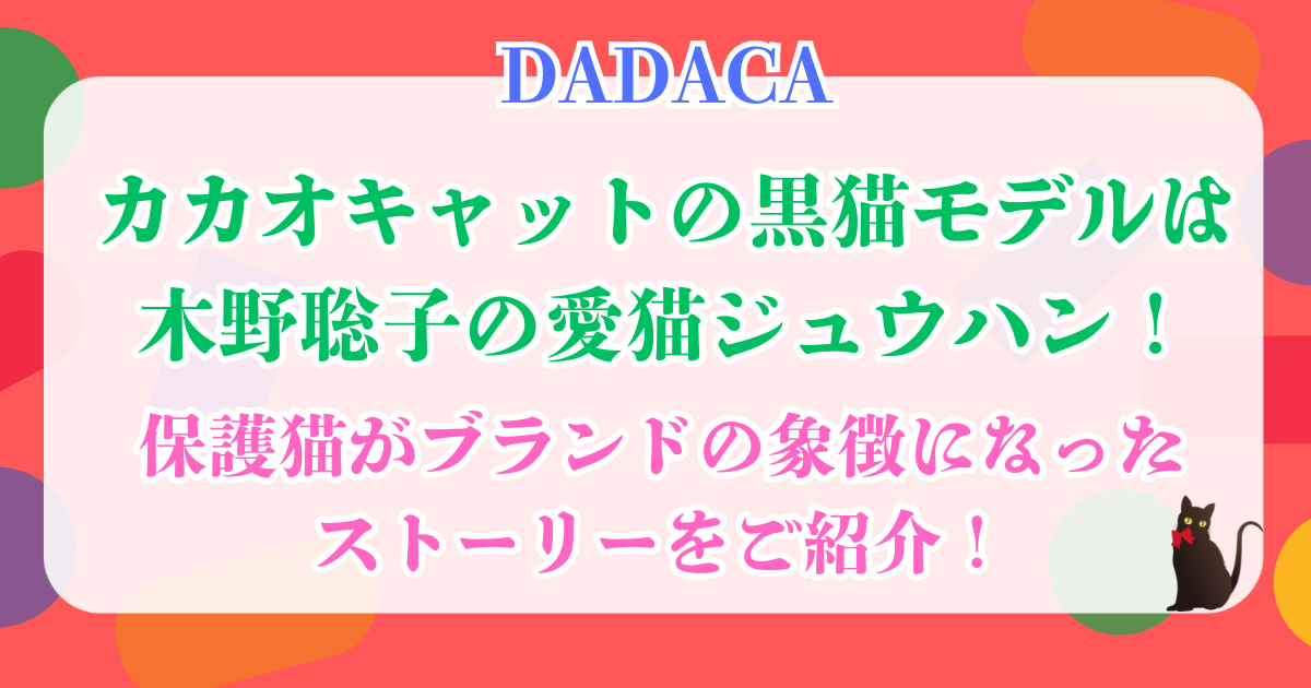 カカオキャット　黒猫　モデル
