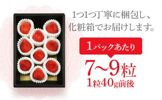 博多あまおうプレミアム　違い　販売店