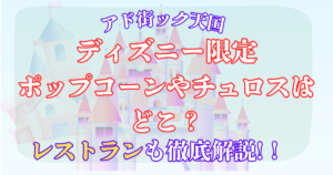 ディズニー限定 ポップコーン チュロス